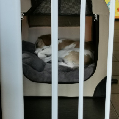 Platz vor dem Spielzimmer