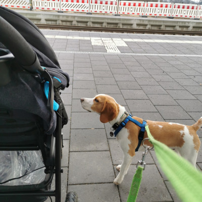 Spaziergang